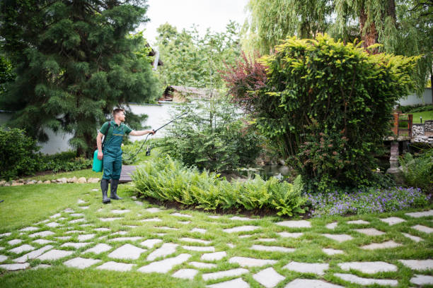 Trusted Sussex, WI Pest Control Experts