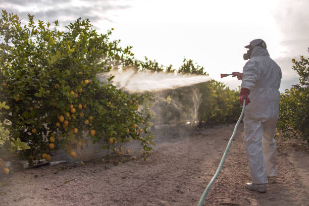 Best Best Pest Control Companies  in Sussex, WI