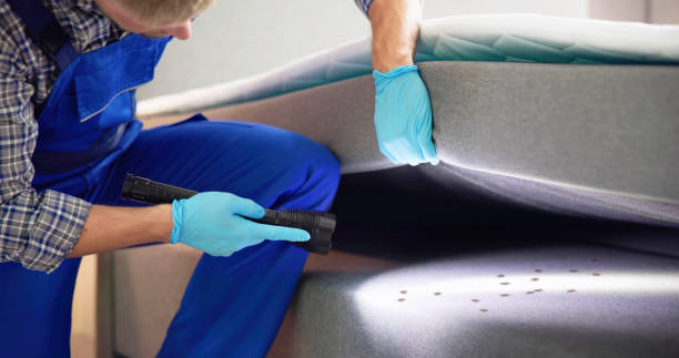Best Affordable Pest Control Services  in Sussex, WI