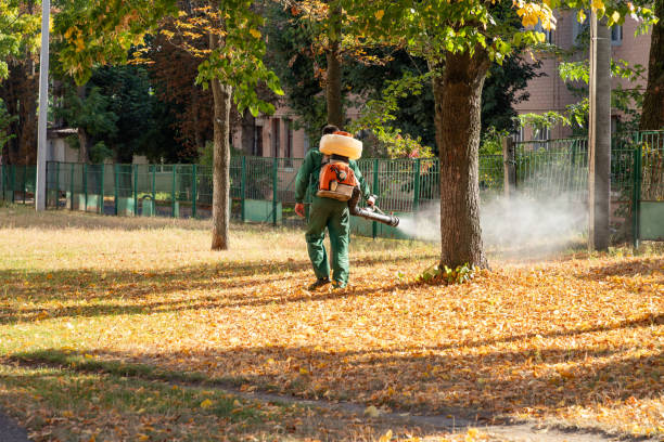 Best Flea Control Services  in Sussex, WI