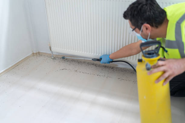 Best Ant Control Services  in Sussex, WI