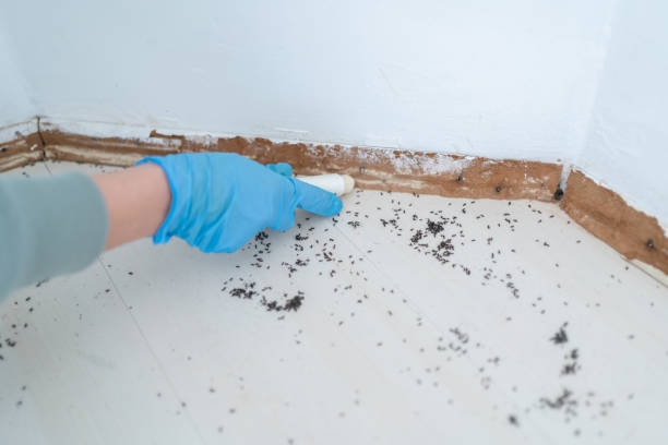 Best Wildlife Control Services  in Sussex, WI